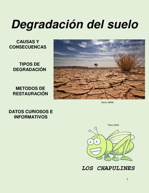 DEGRADACIÓN DEL SUELO