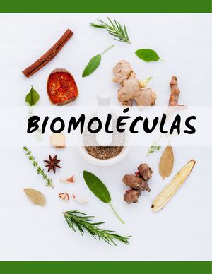 Biomoleculas