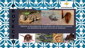 Eliminar presencia de roedores en mi Barrio.