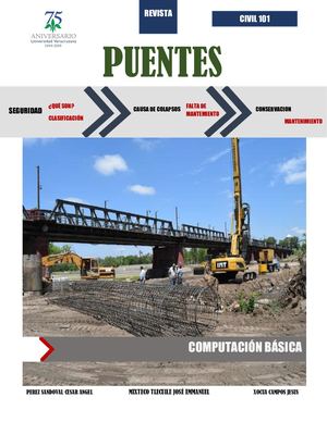 Seguridad En Puentes