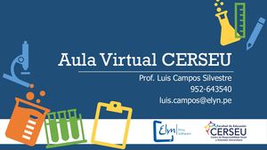 Aula Virtual Cerseu V1