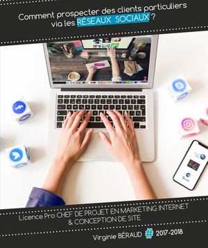 Vb Memoire Virginie Beraud Ecm2018 Memoire 1