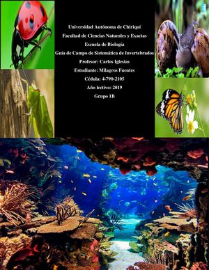 Guia Completa Milagros Fuentes