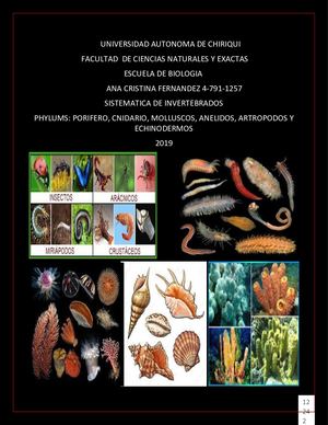 S Invertebrados 1 (Reparado)