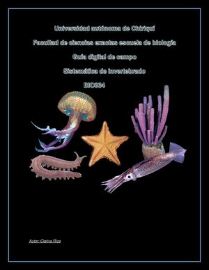 Guia Visual De Invertebrado (Clarixa Rios)