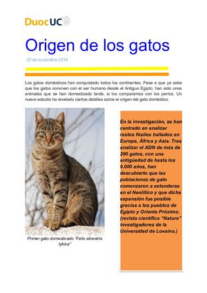 Origen De Los Gatos