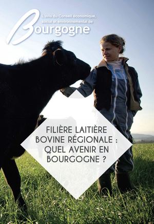 Filière laitière bovine régionale : quel avenir en Bourgogne ?