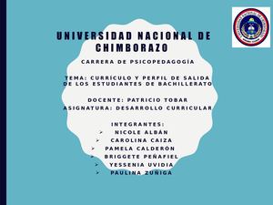 Exposición Desarrollo Curricular (1)