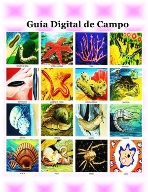 Guia Visual Completa