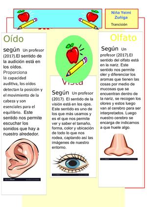 Boletin Trabajo Final