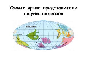 Книга Палеозой