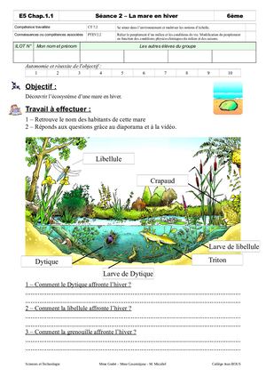 Chap 1 1 - Séance 2 - La Mare En Hiver Correction