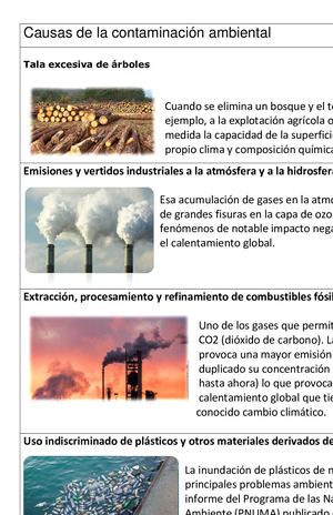 Causas De La Contaminación Ambiental