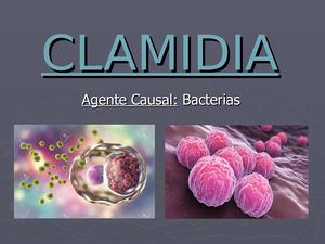 Clamidia