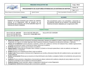 Procedimiento De Auditoria Interna