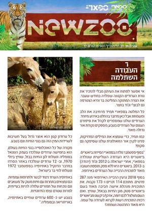 חדשות הספארי נובמבר 2019