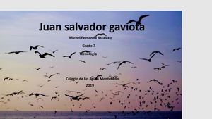 Resumen Juan Salvador Gaviota