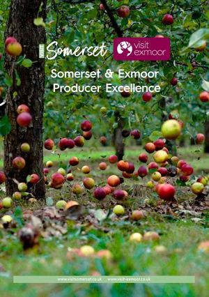 Visit Somerset Food & Drink Excellence A5 Web