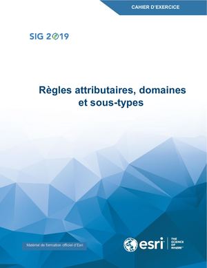 Règles attributaires, domaines et sous-types