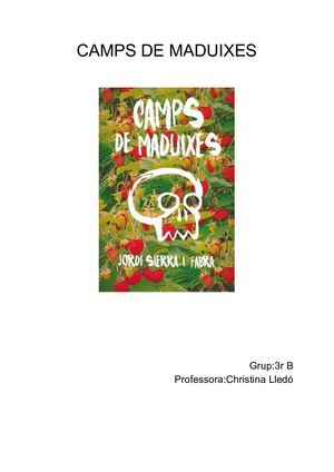 Camps De Maduixes