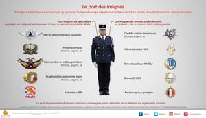 Port des insignes