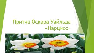 См р № 6 1 Притча Оскара Уайльда «Нарцисс»