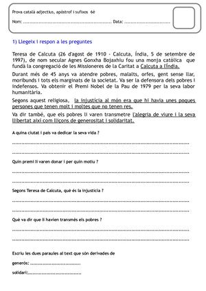 Prova Català Adjectius, Apòstrof I Sufixos  6è.