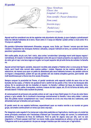 El Pardal