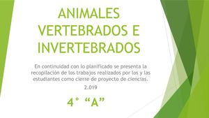 Animales Vertebrados E Invertebrados