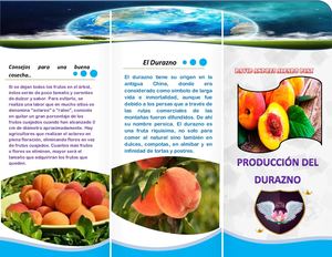 PRODUCCIÓN DEL DURAZNO