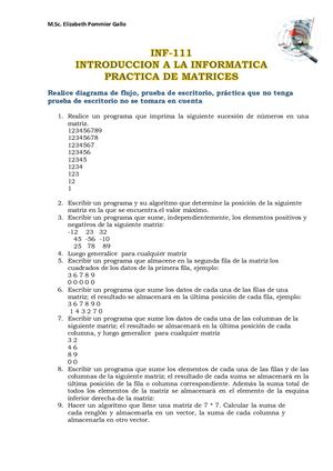 Practica Matrices