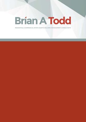 Brian A Todd Brochure