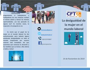 Andrea Calisaya Inostroza + Triptico