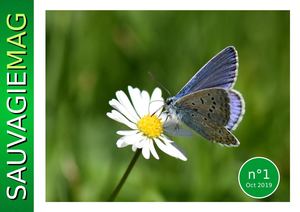 SAUVAGIEMAG N°1