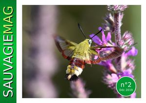 SAUVAGIEMAG N°2