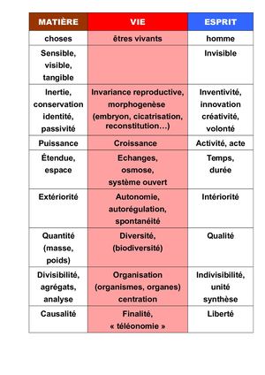 Matière, Esprit, Vivant (2)