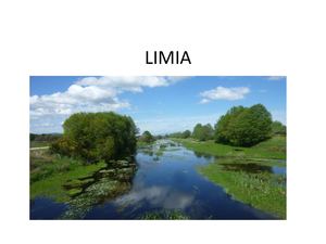 LIMIA ANTÍA CATA IVÁN