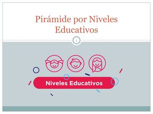 Pirámide Por Niveles Educativos