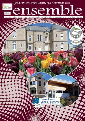 Mise En Page 2019 Cosvgt