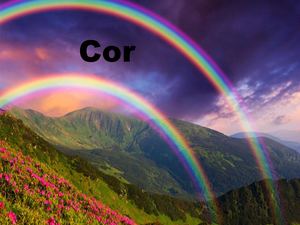 Cor