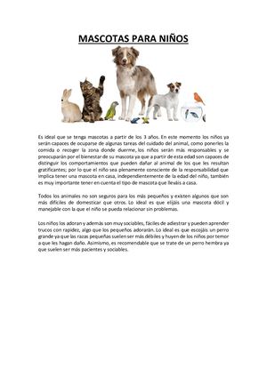 Mascotas Para Niños