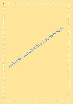 Animales Vertebrados E Invertebrados