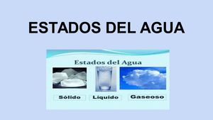 Estados Del Agua