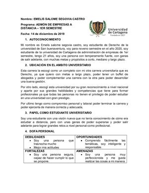 Proyecto De Vida Emelis Segovia