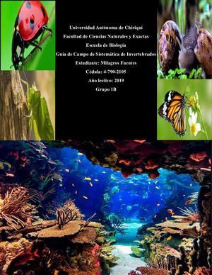 Guia Completa Milagros Fuentes (1)