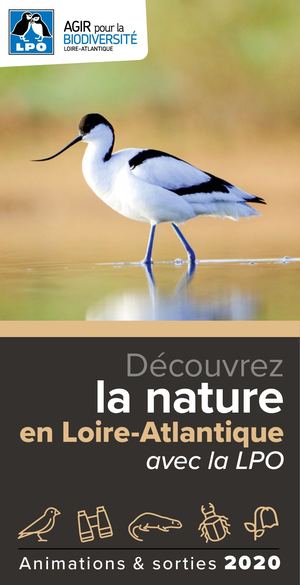 Calameo Guide Des Sorties 2020 Lpo Loire Atlantique