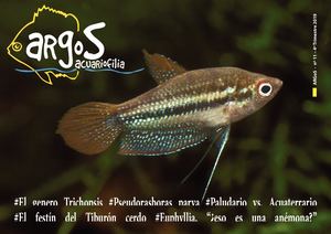 Argos Nº11 2019 Dic