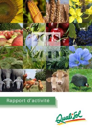 Rapport d'Activité QUALISOL Exercice 2018 2019