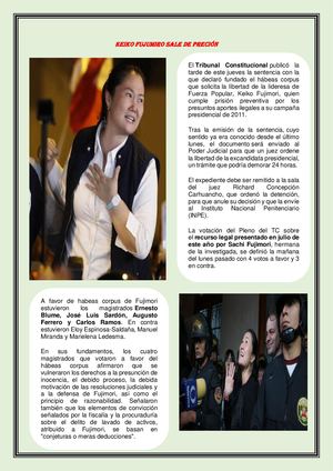 Tribunal Constitucional Del Peru