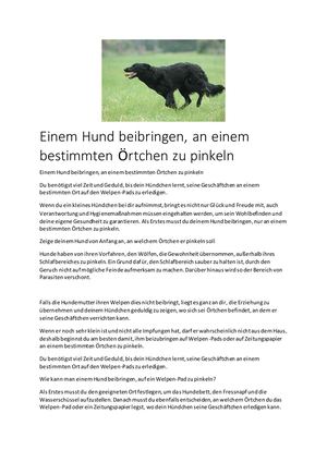 Einem Hund Beibringen, An Einem Bestimmten ÖRtchen Zu Pinkeln